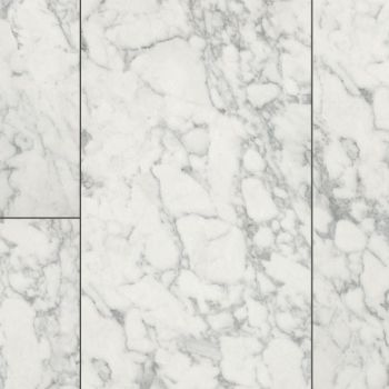 FT011 CARRARA